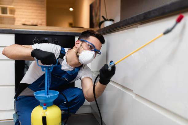 Best Flea Control Services  in Airy Heights, WA